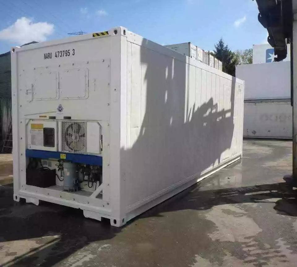 30ft Freezer Container – Customized Mobile Cold Store